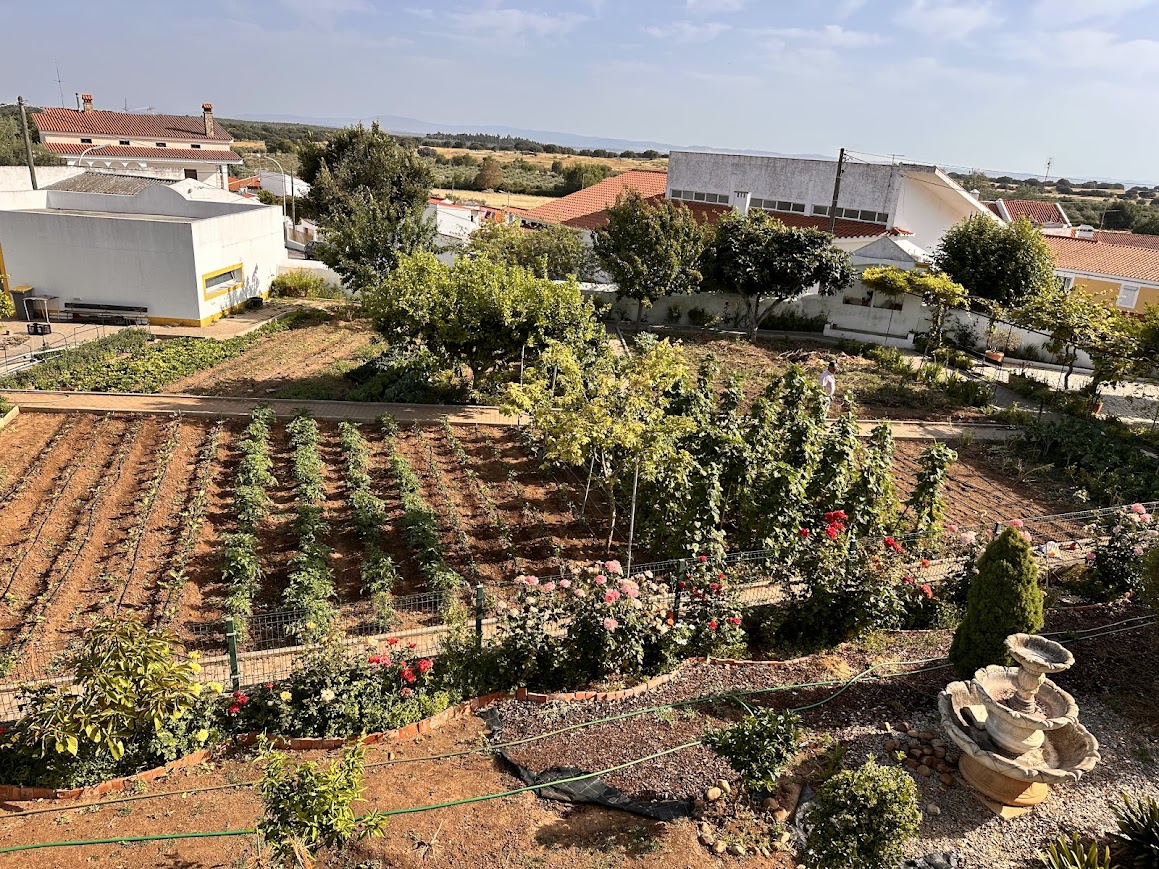 Horta e espaços exteriores da Fundação